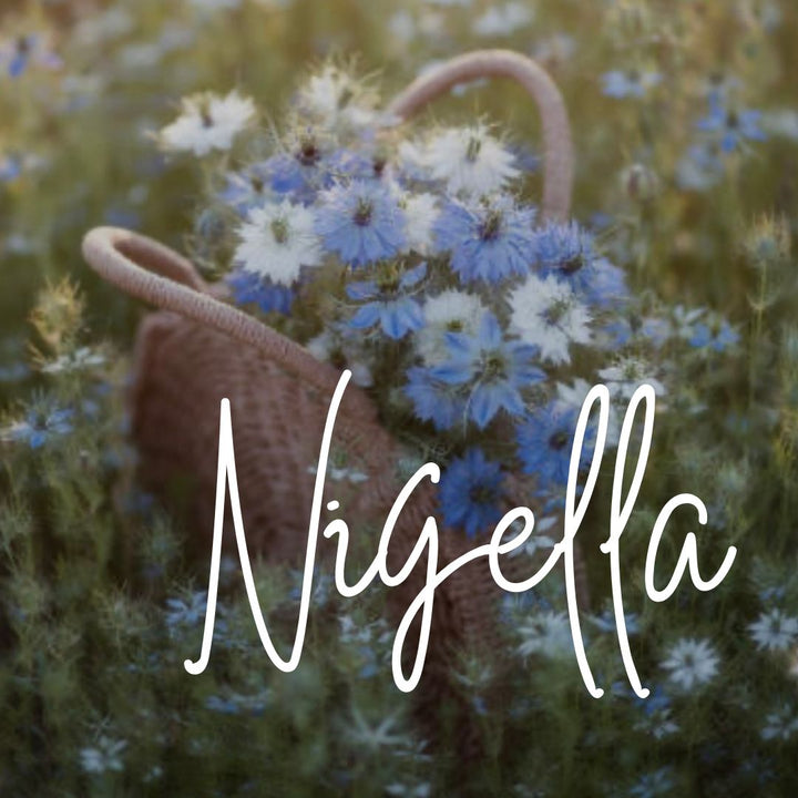 Nigella - Kæde med vedhæng Forgyldt