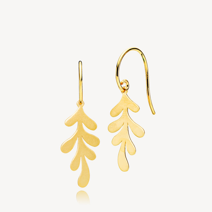 Oaky - Earrings Gold plated